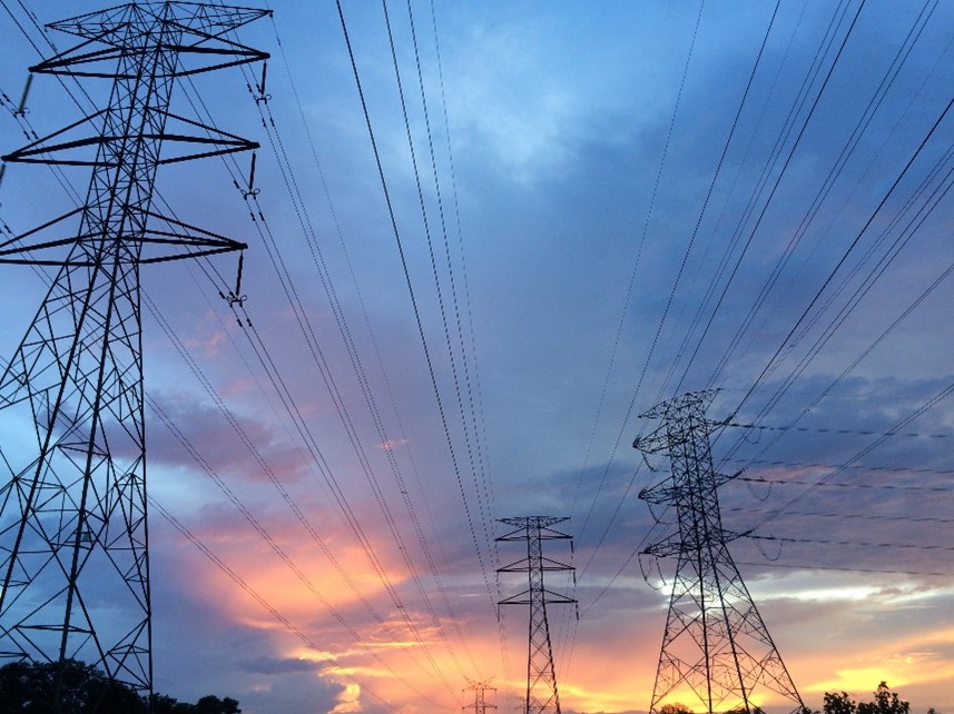 facts about Electric Reliability Council of Texas